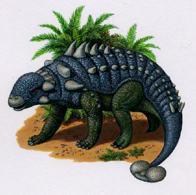 euoplocephalus