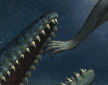 tylosaur detail