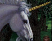 unicorn detail