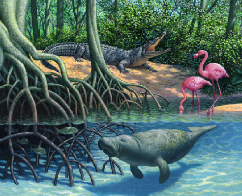 dugong alligator and flamingo
