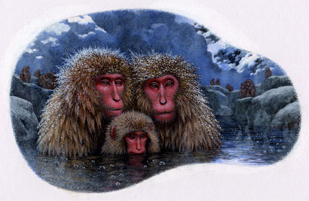 macaques