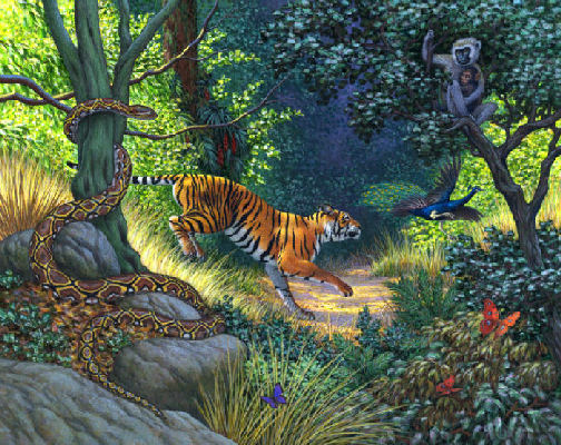 tiger, reticulated python and peacock