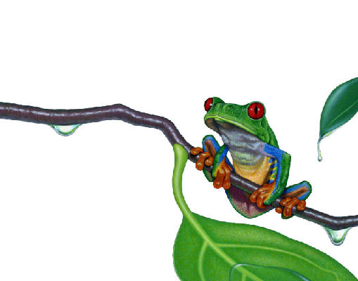 treefrog