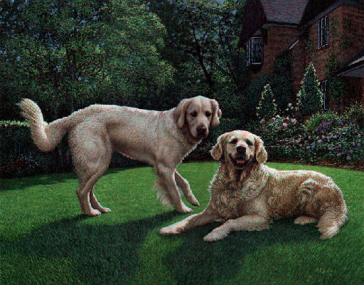 retrievers