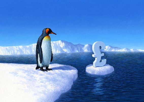 penguin on ice floe
