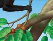 detail of jungle image for Edinburgh museum