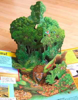 pop-up rainforest