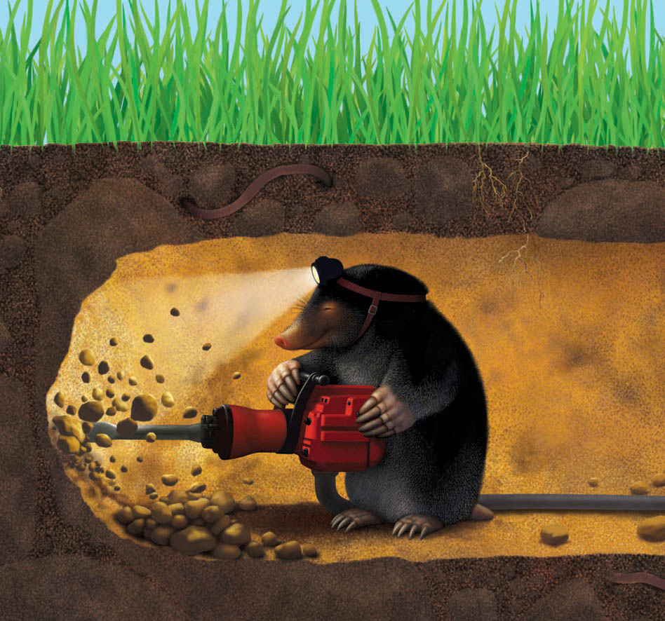 Vodafone Mole