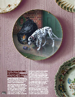RSPCA advertisement