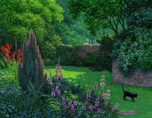 cat in garden